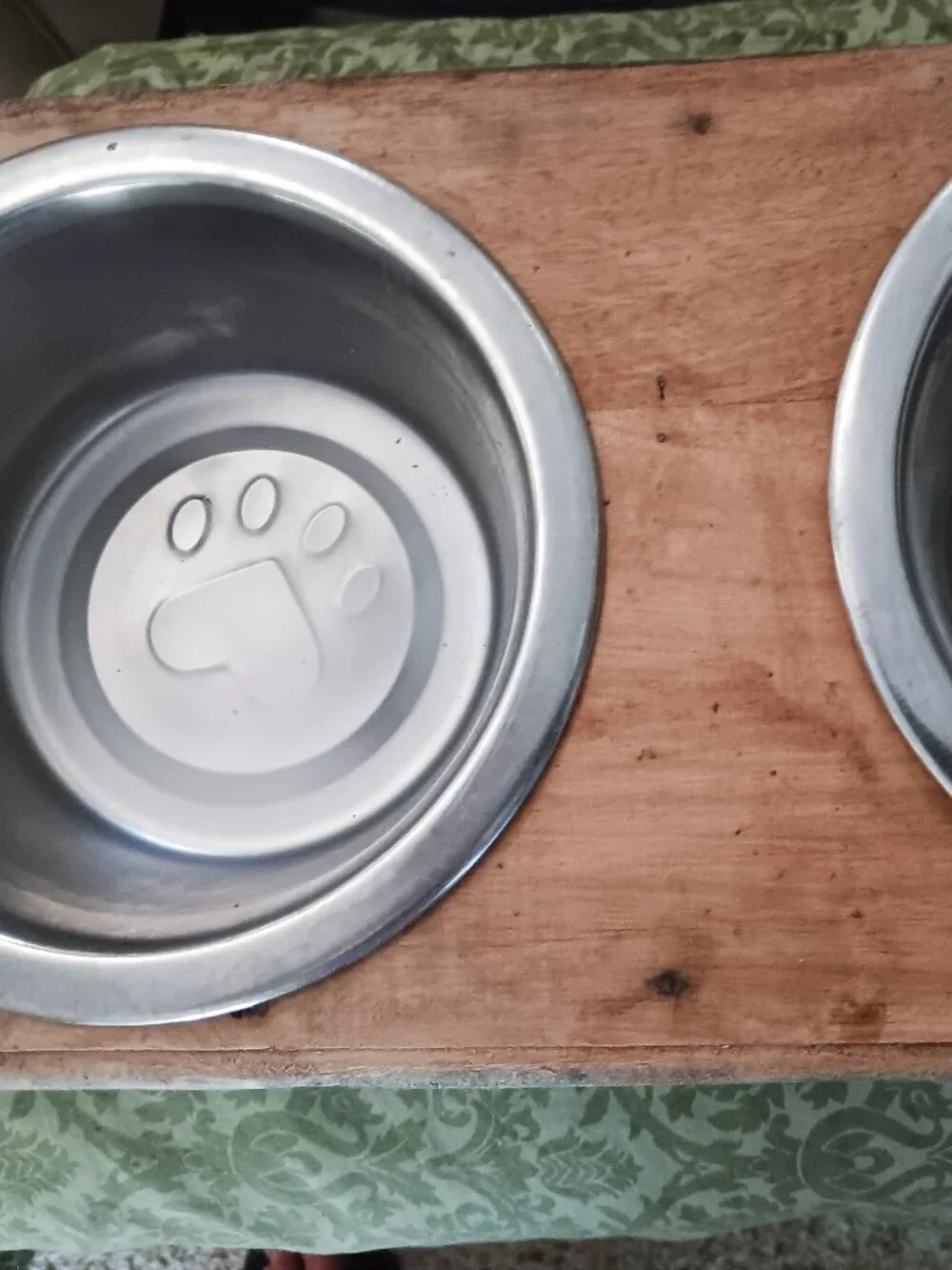 Feed Your Furry Family! 3 pc elevated pet feeder